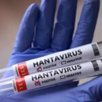 España, Francia y Países Bajos adquieren un tratamiento experimental contra el hantavirus