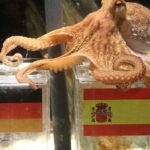 Del pulpo Paul a la Inteligencia Artificial: los chatbots revelan sus favoritos para el Mundial 2026